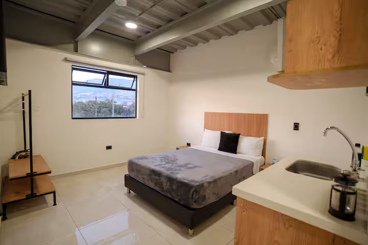 Estudio 15